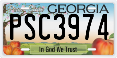 GA license plate PSC3974