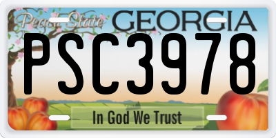GA license plate PSC3978
