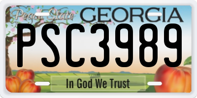 GA license plate PSC3989