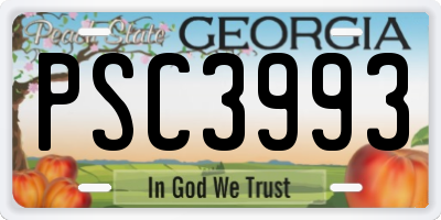 GA license plate PSC3993