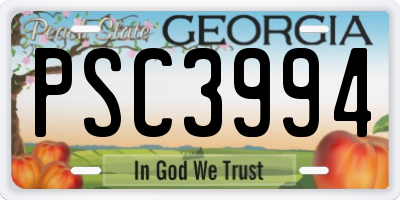 GA license plate PSC3994
