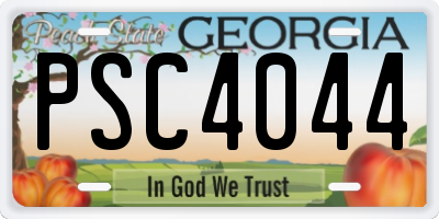 GA license plate PSC4044