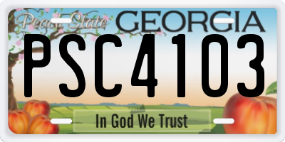 GA license plate PSC4103