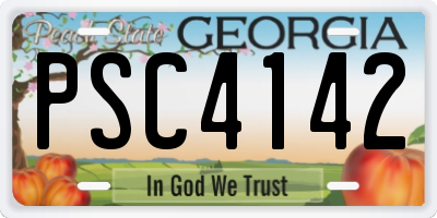 GA license plate PSC4142