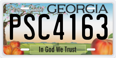 GA license plate PSC4163