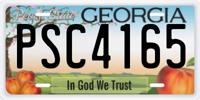 GA license plate PSC4165