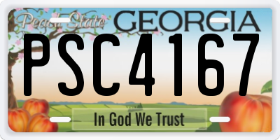 GA license plate PSC4167