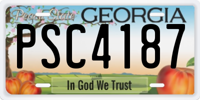 GA license plate PSC4187