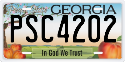 GA license plate PSC4202