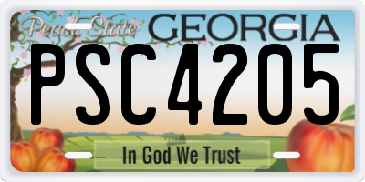 GA license plate PSC4205