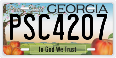 GA license plate PSC4207