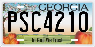 GA license plate PSC4210