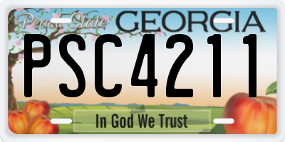 GA license plate PSC4211