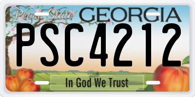 GA license plate PSC4212