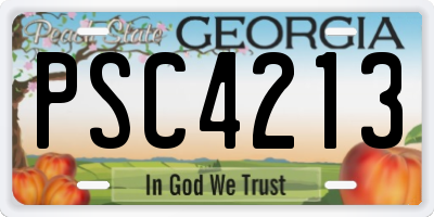 GA license plate PSC4213