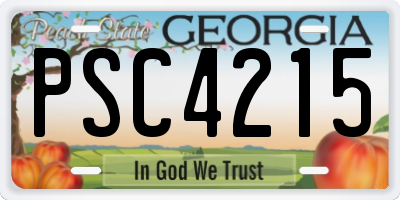 GA license plate PSC4215