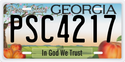 GA license plate PSC4217