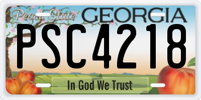 GA license plate PSC4218