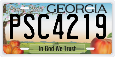 GA license plate PSC4219