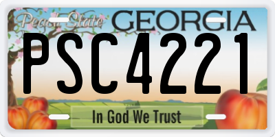 GA license plate PSC4221