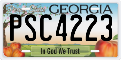 GA license plate PSC4223