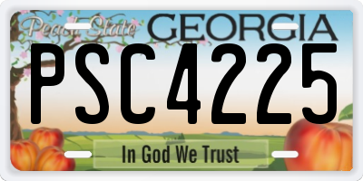 GA license plate PSC4225