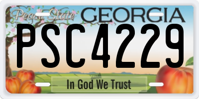 GA license plate PSC4229