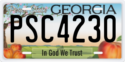 GA license plate PSC4230