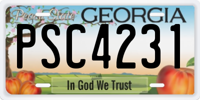 GA license plate PSC4231