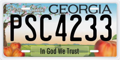 GA license plate PSC4233