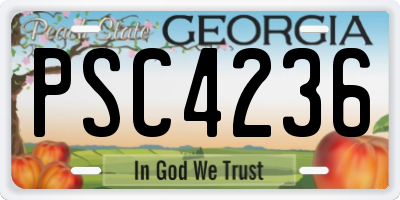 GA license plate PSC4236