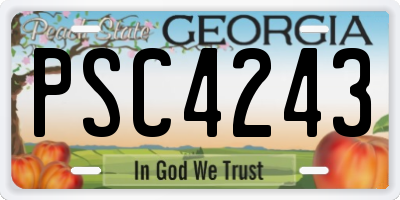 GA license plate PSC4243