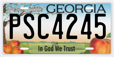 GA license plate PSC4245