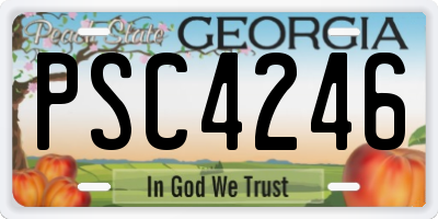 GA license plate PSC4246