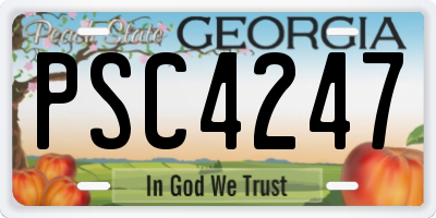 GA license plate PSC4247