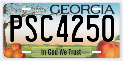 GA license plate PSC4250