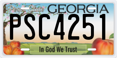 GA license plate PSC4251