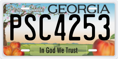 GA license plate PSC4253