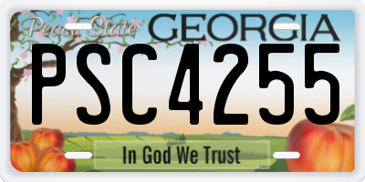 GA license plate PSC4255