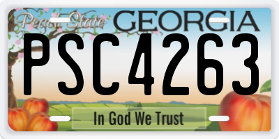 GA license plate PSC4263