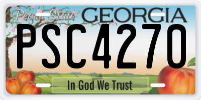 GA license plate PSC4270