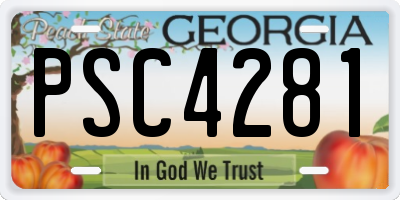 GA license plate PSC4281