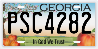 GA license plate PSC4282