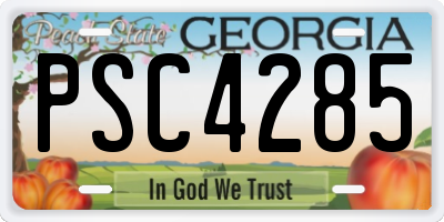 GA license plate PSC4285
