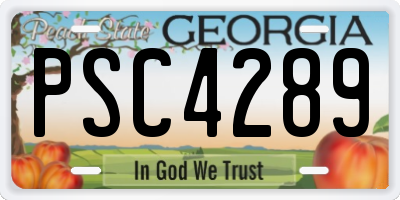 GA license plate PSC4289