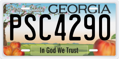 GA license plate PSC4290