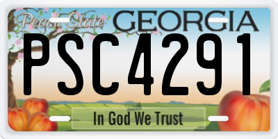 GA license plate PSC4291