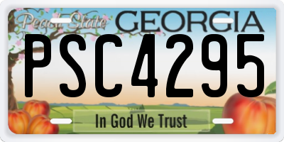 GA license plate PSC4295
