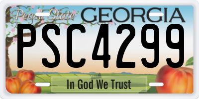 GA license plate PSC4299