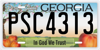 GA license plate PSC4313